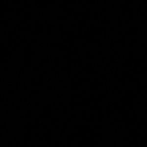 Meet your Posher, Harrison